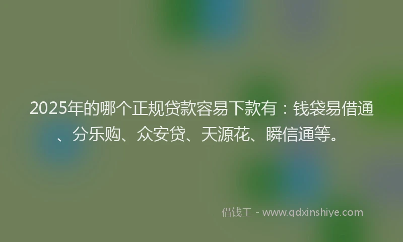 2025年的哪个正规贷款容易下款有：钱袋易借通、分乐购、众安贷、天源花、瞬信通等。
