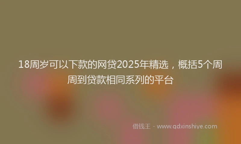 18周岁可以下款的网贷2025年精选，概括5个周周到贷款相同系列的平台