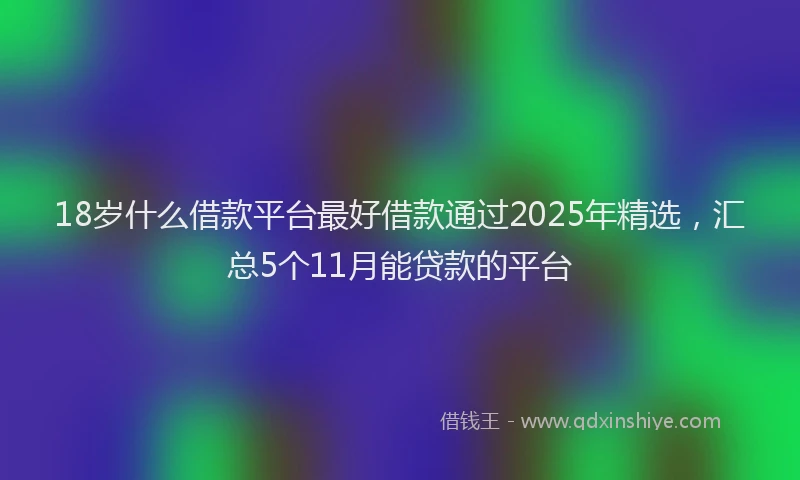 18岁什么借款平台最好借款通过2025年精选，汇总5个11月能贷款的平台