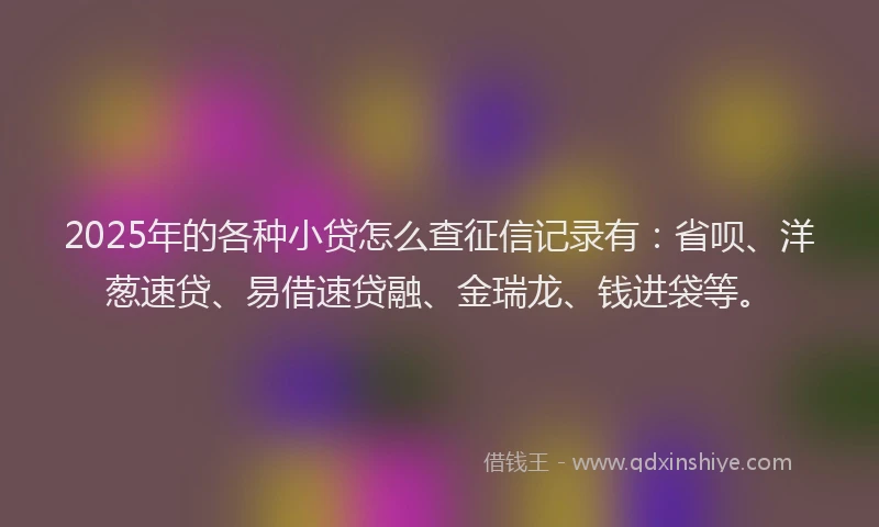 2025年的各种小贷怎么查征信记录有：省呗、洋葱速贷、易借速贷融、金瑞龙、钱进袋等。