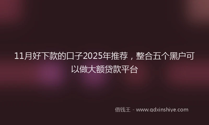 11月好下款的口子2025年推荐，整合五个黑户可以做大额贷款平台
