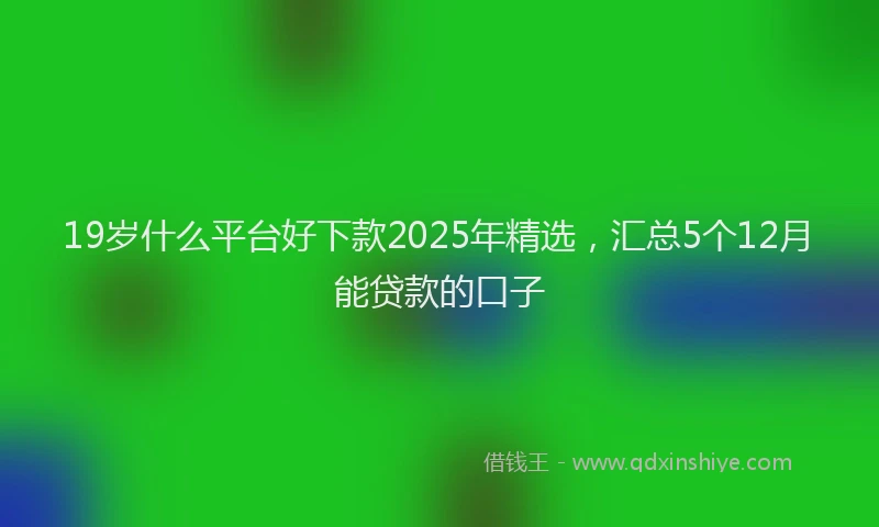 19岁什么平台好下款2025年精选，汇总5个12月能贷款的口子