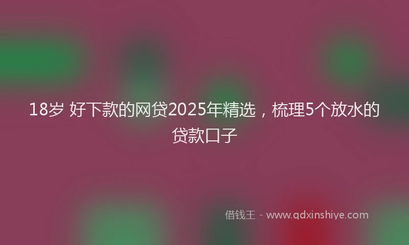 18岁 好下款的网贷2025年精选，梳理5个放水的贷款口子