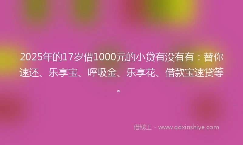 2025年的17岁借1000元的小贷有没有有：替你速还、乐享宝、呼吸金、乐享花、借款宝速贷等。