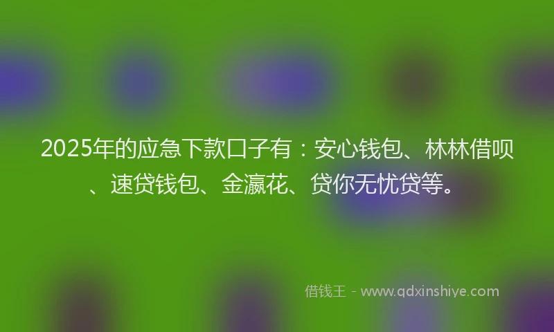 2025年的应急下款口子有：安心钱包、林林借呗、速贷钱包、金瀛花、贷你无忧贷等。