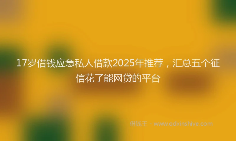 17岁借钱应急私人借款2025年推荐，汇总五个征信花了能网贷的平台