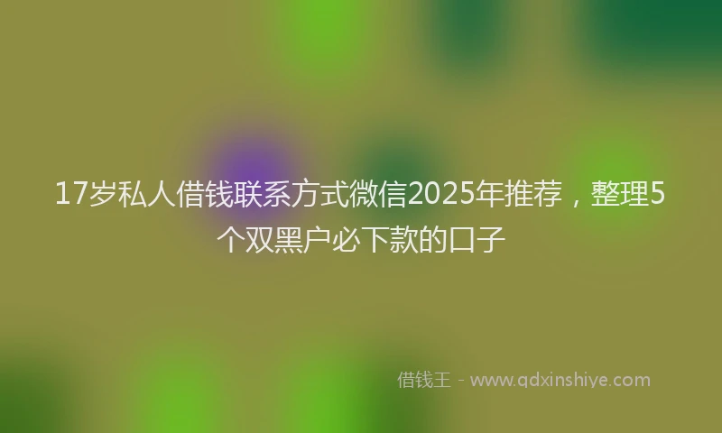 17岁私人借钱联系方式微信2025年推荐，整理5个双黑户必下款的口子