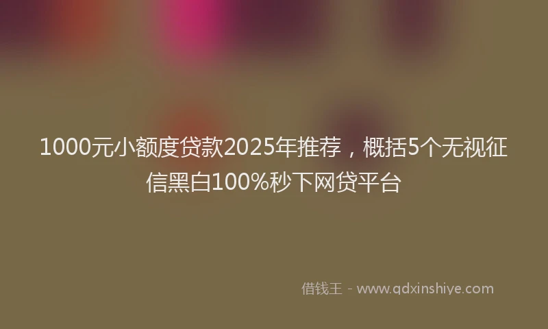 1000元小额度贷款2025年推荐，概括5个无视征信黑白100%秒下网贷平台