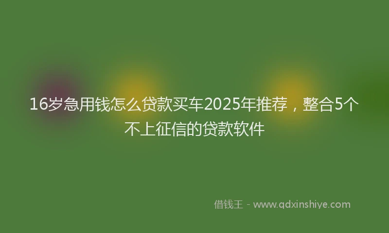 16岁急用钱怎么贷款买车2025年推荐，整合5个不上征信的贷款软件