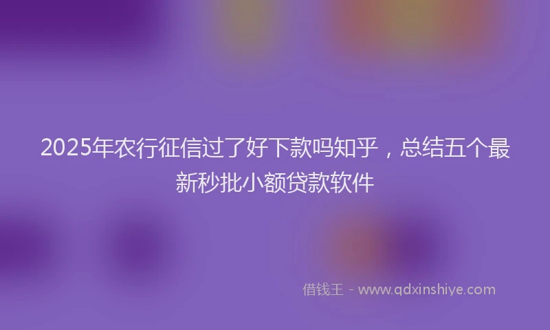 2025年农行征信过了好下款吗知乎，总结五个最新秒批小额贷款软件