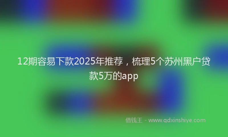 12期容易下款2025年推荐，梳理5个苏州黑户贷款5万的app