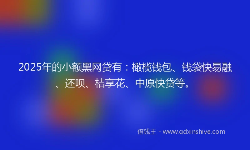 2025年的小额黑网贷有：橄榄钱包、钱袋快易融、还呗、桔享花、中原快贷等。