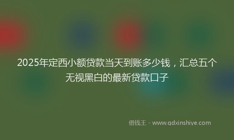 2025年定西小额贷款当天到账多少钱，汇总五个无视黑白的最新贷款口子