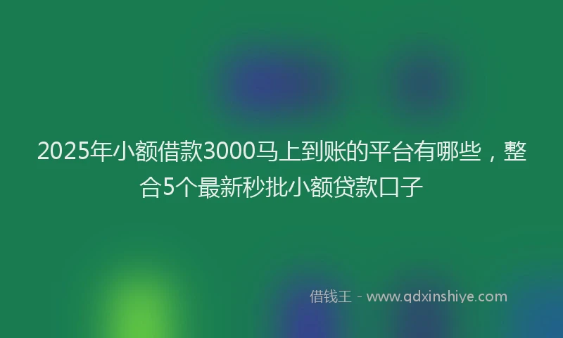 2025年小额借款3000马上到账的平台有哪些，整合5个最新秒批小额贷款口子