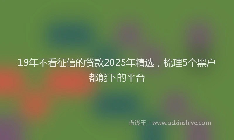 19年不看征信的贷款2025年精选，梳理5个黑户都能下的平台