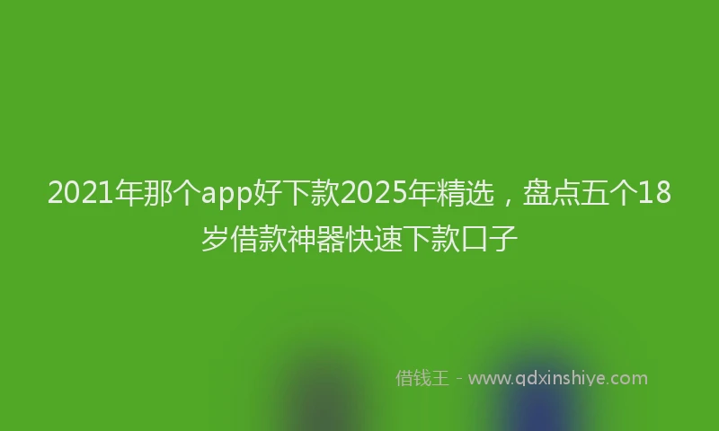 2021年那个app好下款2025年精选，盘点五个18岁借款神器快速下款口子