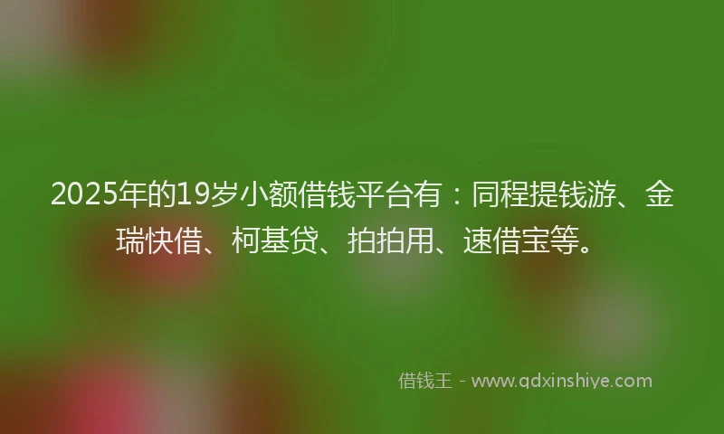 2025年的19岁小额借钱平台有：同程提钱游、金瑞快借、柯基贷、拍拍用、速借宝等。