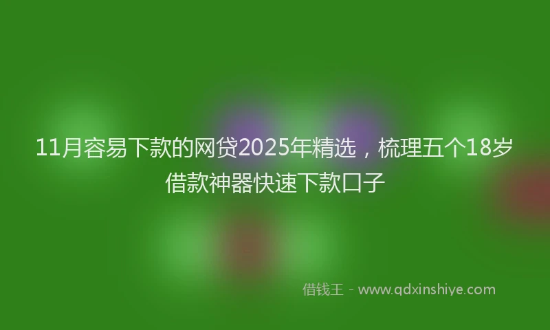 11月容易下款的网贷2025年精选，梳理五个18岁借款神器快速下款口子