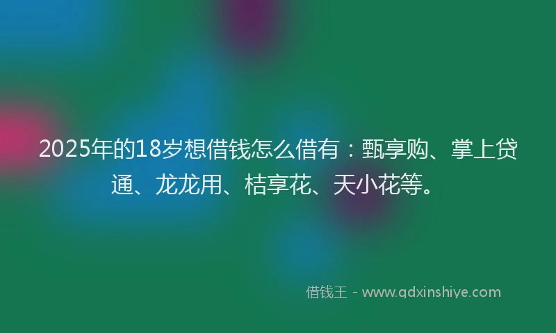 2025年的18岁想借钱怎么借有：甄享购、掌上贷通、龙龙用、桔享花、天小花等。