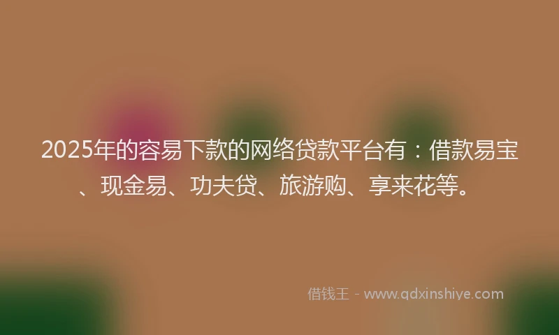 2025年的容易下款的网络贷款平台有：借款易宝、现金易、功夫贷、旅游购、享来花等。