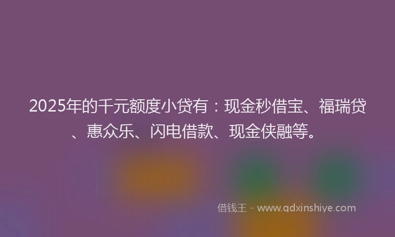 2025年的千元额度小贷有：现金秒借宝、福瑞贷、惠众乐、闪电借款、现金侠融等。