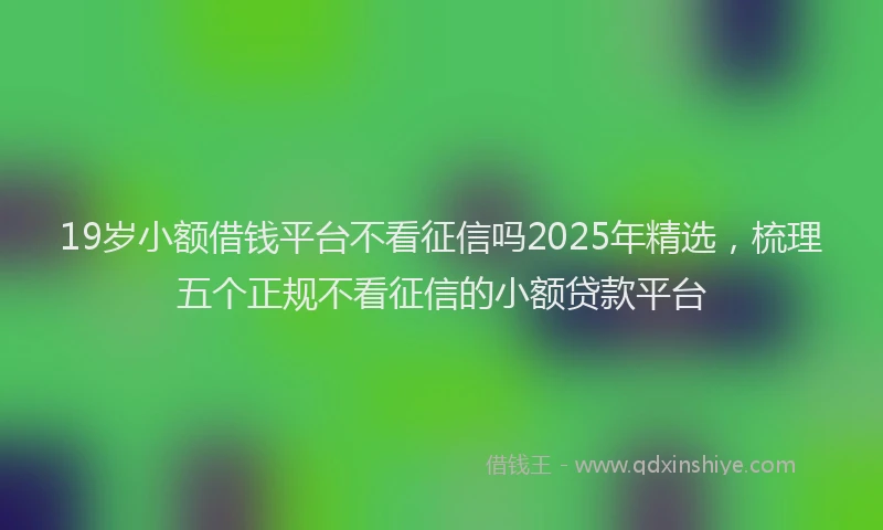 19岁小额借钱平台不看征信吗2025年精选，梳理五个正规不看征信的小额贷款平台