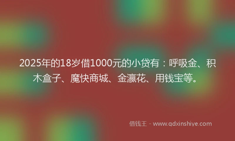 2025年的18岁借1000元的小贷有：呼吸金、积木盒子、魔快商城、金瀛花、用钱宝等。