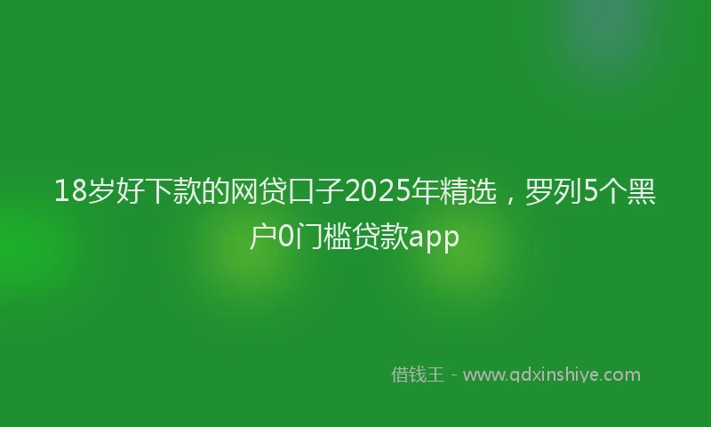 18岁好下款的网贷口子2025年精选，罗列5个黑户0门槛贷款app