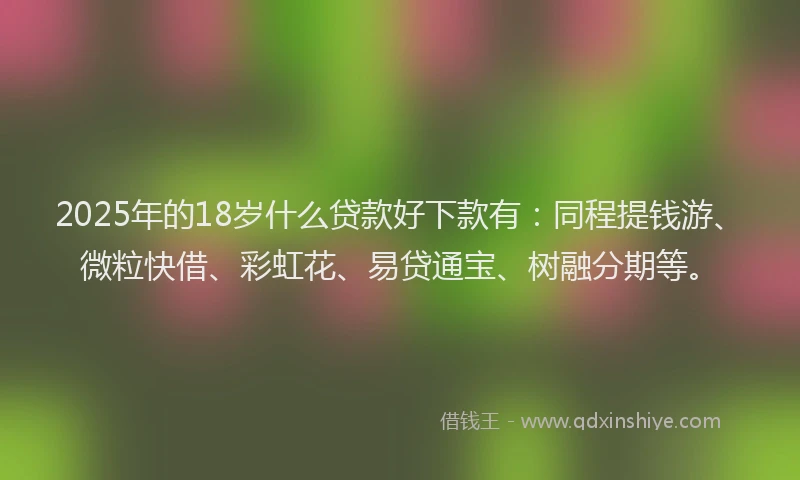 2025年的18岁什么贷款好下款有：同程提钱游、微粒快借、彩虹花、易贷通宝、树融分期等。