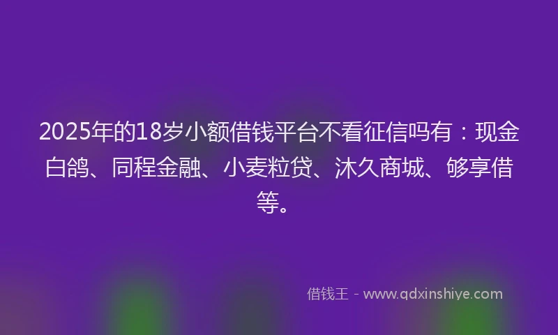 2025年的18岁小额借钱平台不看征信吗有：现金白鸽、同程金融、小麦粒贷、沐久商城、够享借等。