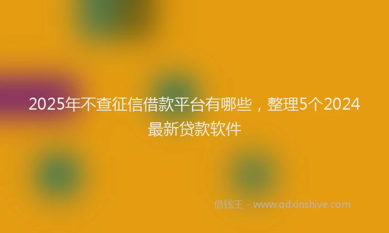 2025年不查征信借款平台有哪些，整理5个2024最新贷款软件