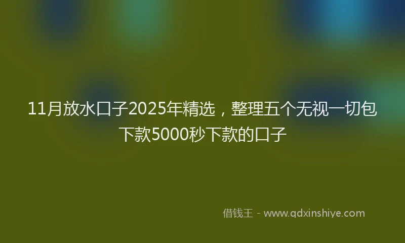 11月放水口子2025年精选，整理五个无视一切包下款5000秒下款的口子