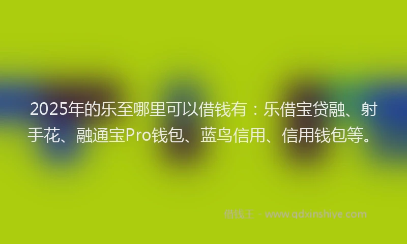 2025年的乐至哪里可以借钱有：乐借宝贷融、射手花、融通宝Pro钱包、蓝鸟信用、信用钱包等。