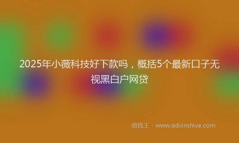 2025年小薇科技好下款吗，概括5个最新口子无视黑白户网贷