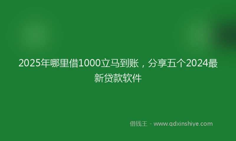 2025年哪里借1000立马到账，分享五个2024最新贷款软件