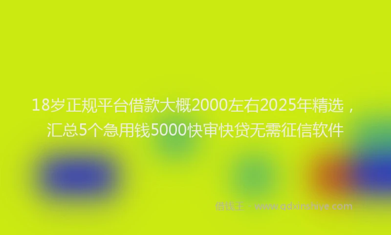 18岁正规平台借款大概2000左右2025年精选，汇总5个急用钱5000快审快贷无需征信软件