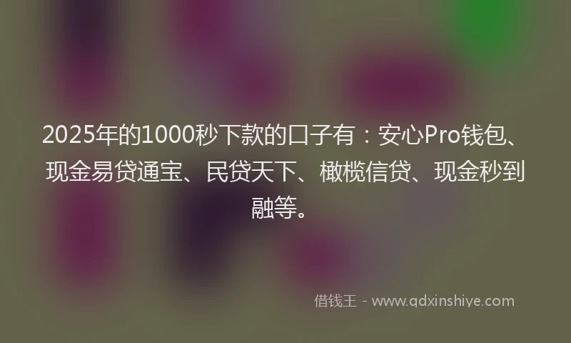 2025年的1000秒下款的口子有：安心Pro钱包、现金易贷通宝、民贷天下、橄榄信贷、现金秒到融等。