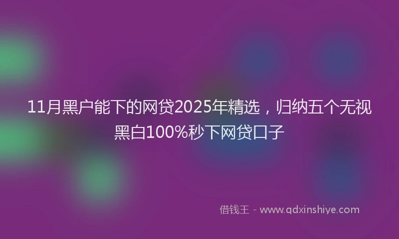 11月黑户能下的网贷2025年精选，归纳五个无视黑白100%秒下网贷口子