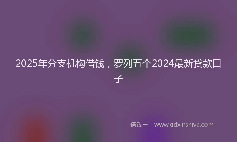 2025年分支机构借钱，罗列五个2024最新贷款口子