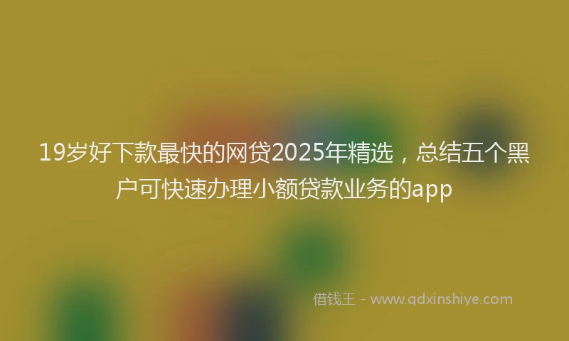19岁好下款最快的网贷2025年精选，总结五个黑户可快速办理小额贷款业务的app