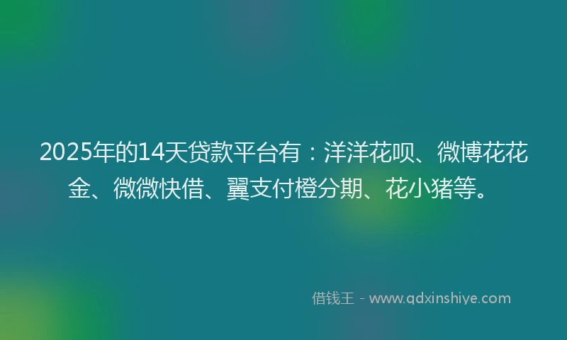 2025年的14天贷款平台有：洋洋花呗、微博花花金、微微快借、翼支付橙分期、花小猪等。