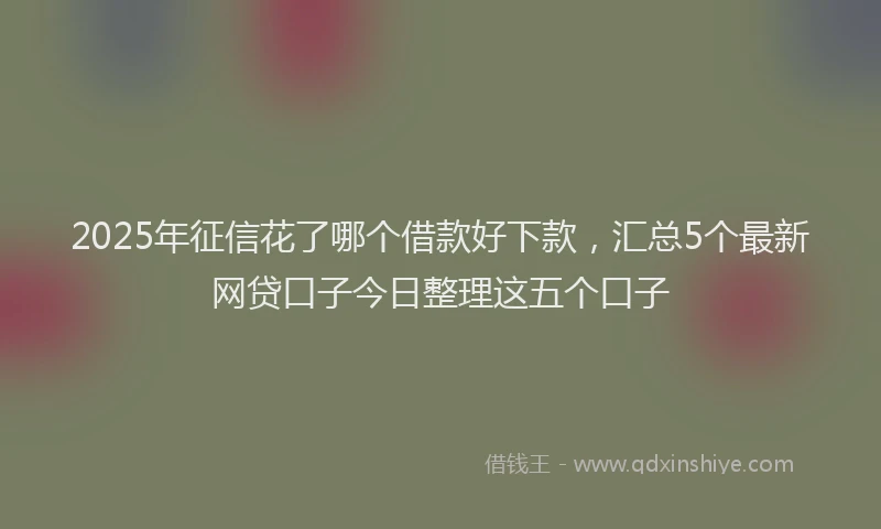 2025年征信花了哪个借款好下款，汇总5个最新网贷口子今日整理这五个口子