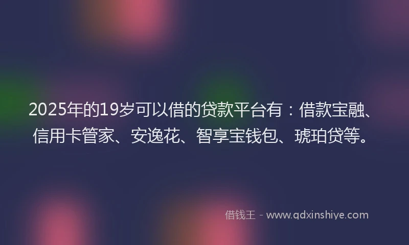 2025年的19岁可以借的贷款平台有：借款宝融、信用卡管家、安逸花、智享宝钱包、琥珀贷等。