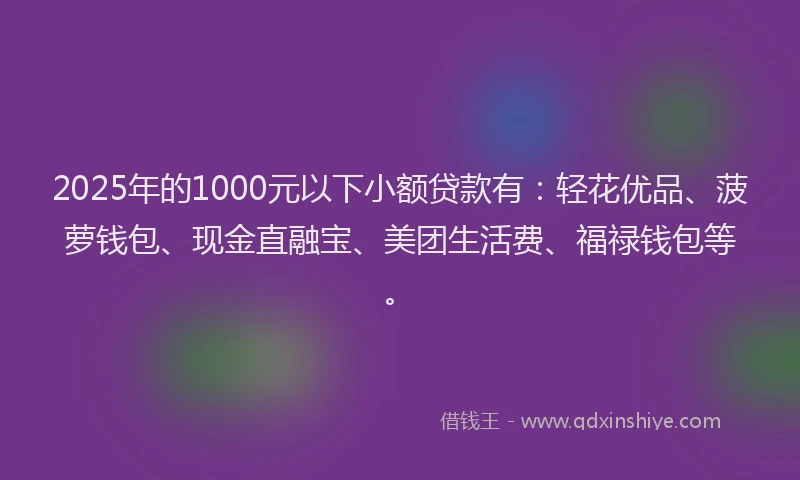 2025年的1000元以下小额贷款有：轻花优品、菠萝钱包、现金直融宝、美团生活费、福禄钱包等。