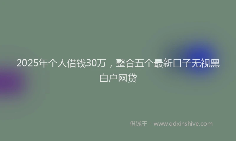 2025年个人借钱30万，整合五个最新口子无视黑白户网贷