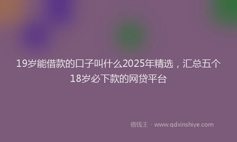 19岁能借款的口子叫什么2025年精选，汇总五个18岁必下款的网贷平台