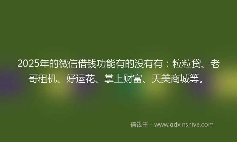 2025年的微信借钱功能有的没有有：粒粒贷、老哥租机、好运花、掌上财富、天美商城等。