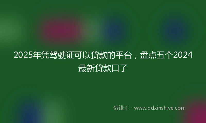 2025年凭驾驶证可以贷款的平台，盘点五个2024最新贷款口子