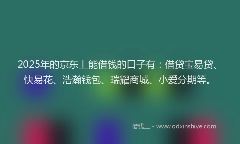 2025年的京东上能借钱的口子有：借贷宝易贷、快易花、浩瀚钱包、瑞耀商城、小爱分期等。