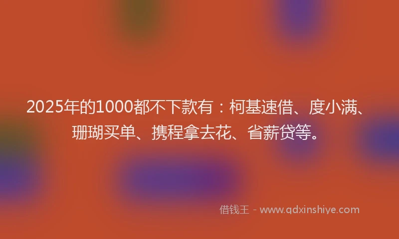 2025年的1000都不下款有：柯基速借、度小满、珊瑚买单、携程拿去花、省薪贷等。